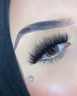 Davinity Palette & Natural Lash Style Bundle