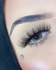Davinity Palette & Natural Lash Style Bundle