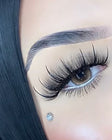 Davinity Palette & Natural Lash Style Bundle
